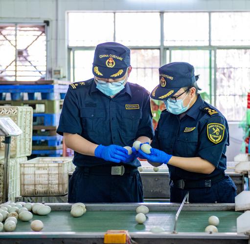 惠州海关助蛋制品企业拓展国际市场